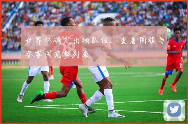 世界杯确定出线队伍:查看国旗与参赛国完整列表