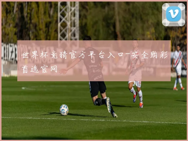 世界杯竞猜官方平台入口-安全购彩首选官网
