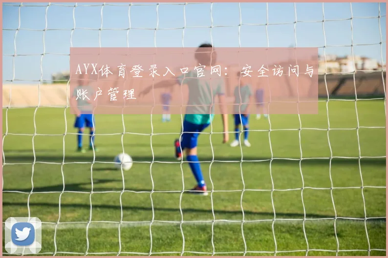 AYX体育登录入口官网：安全访问与账户管理